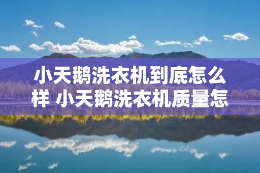 小天鹅洗衣机到底怎么样 小天鹅洗衣机质量怎样