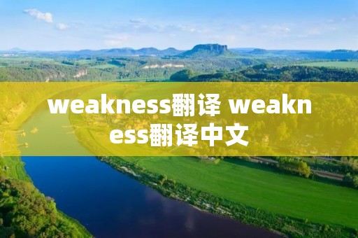 weakness翻译 weakness翻译中文