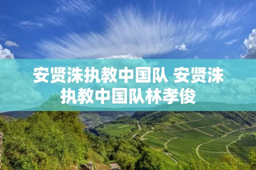 安贤洙执教中国队 安贤洙执教中国队林孝俊