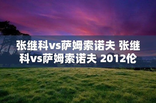 张继科vs萨姆索诺夫 张继科vs萨姆索诺夫 2012伦敦 新传宽频