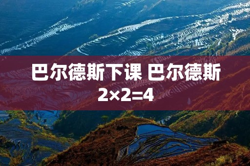 巴尔德斯下课 巴尔德斯2×2=4 巴尔德斯下课 巴尔德斯2×2=4