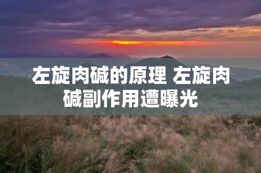 左旋肉碱的原理 左旋肉碱副作用遭曝光