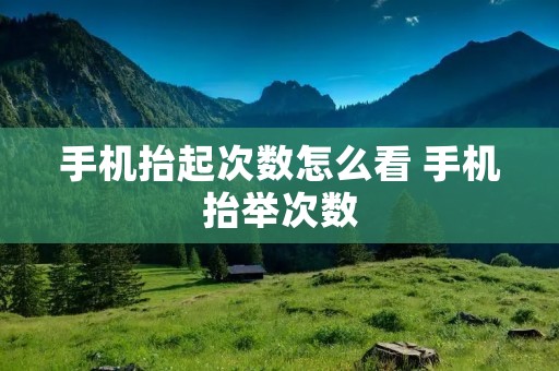 手机抬起次数怎么看 手机抬举次数