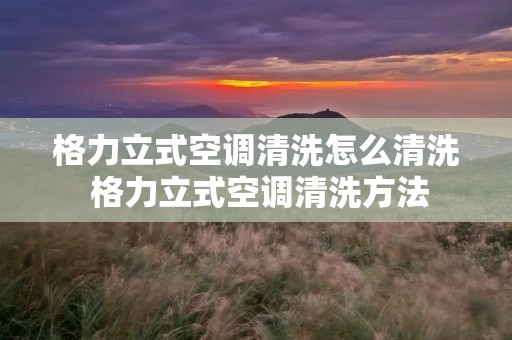 格力立式空调清洗怎么清洗 格力立式空调清洗方法