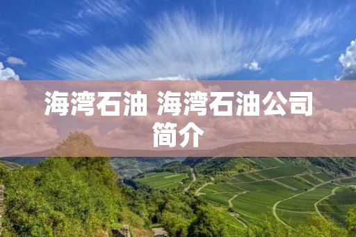 海湾石油 海湾石油公司简介
