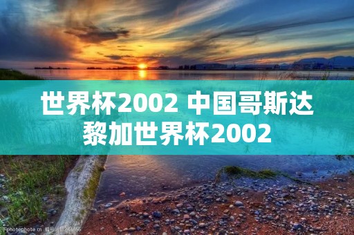 世界杯2002 中国哥斯达黎加世界杯2002