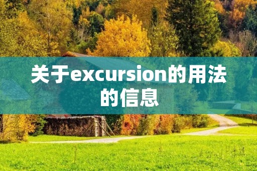 关于excursion的用法的信息
