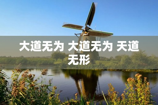大道无为 大道无为 天道无形