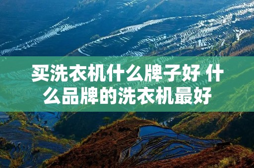 买洗衣机什么牌子好 什么品牌的洗衣机最好