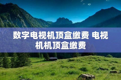 数字电视机顶盒缴费 电视机机顶盒缴费 数字电视机顶盒缴费 电视机机顶盒缴费