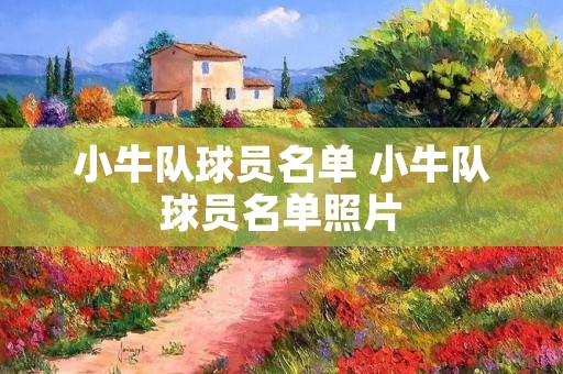 小牛队球员名单 小牛队球员名单照片 小牛队球员名单 小牛队球员名单照片