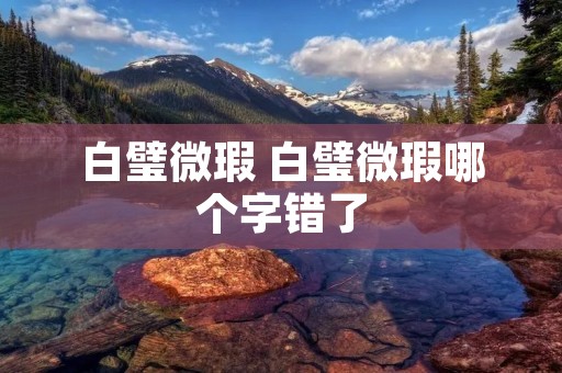 白璧微瑕 白璧微瑕哪个字错了 白璧微瑕 白璧微瑕哪个字错了