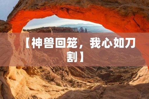 【神兽回笼,我心如刀割】