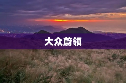 大众蔚领:用智能科技和精湛工艺打造卓越家轿 大众蔚领:用智能科技和精湛工艺打造卓越家轿