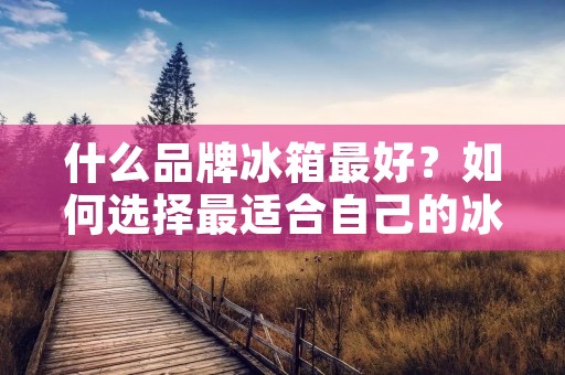 什么品牌冰箱最好？如何选择最适合自己的冰箱？