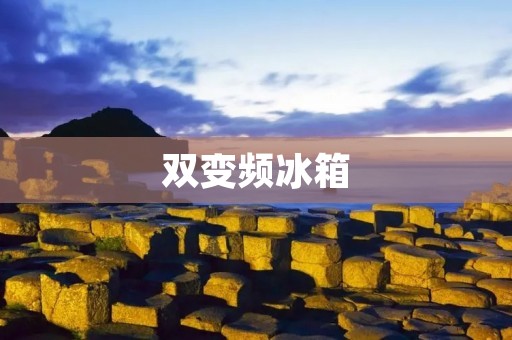 双变频冰箱：智能节能的新选择