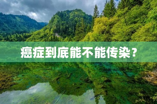 癌症到底能不能传染？