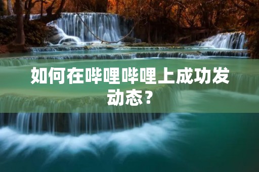 如何在哔哩哔哩上成功发动态? 如何在哔哩哔哩上成功发动态?