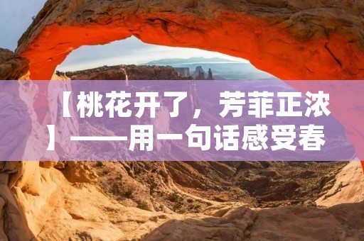 【桃花开了,芳菲正浓】——用一句话感受春日的美好