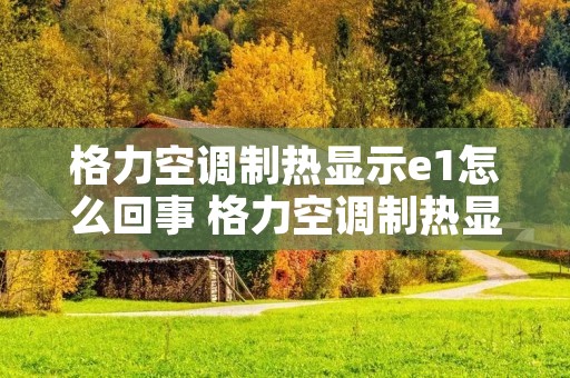 格力空调制热显示e1怎么回事 格力空调制热显示e1是什么故障