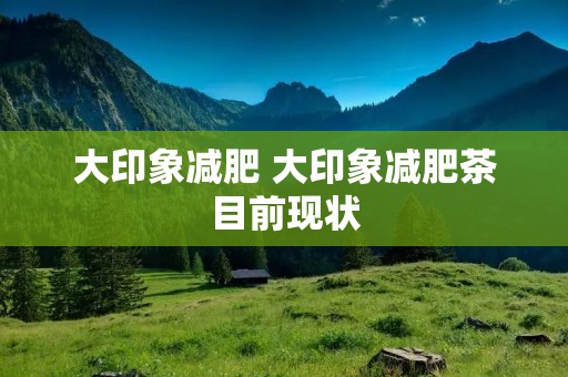 大印象减肥 大印象减肥茶目前现状 大印象减肥 大印象减肥茶目前现状