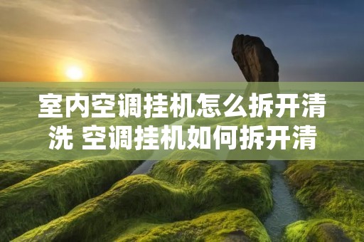 室内空调挂机怎么拆开清洗 空调挂机如何拆开清洗 室内空调挂机怎么拆开清洗 空调挂机如何拆开清洗