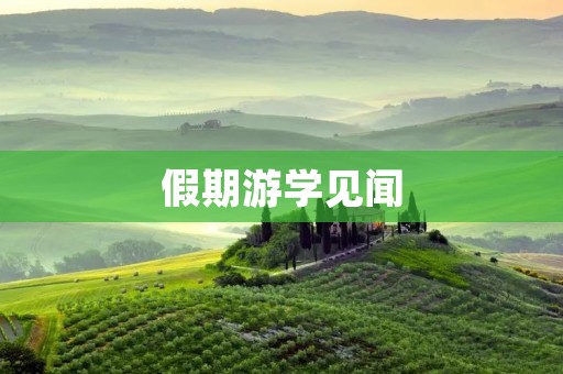 假期游学见闻 假期游学见闻
