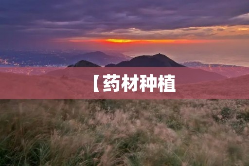 【药材种植:哪些药材最赚钱】