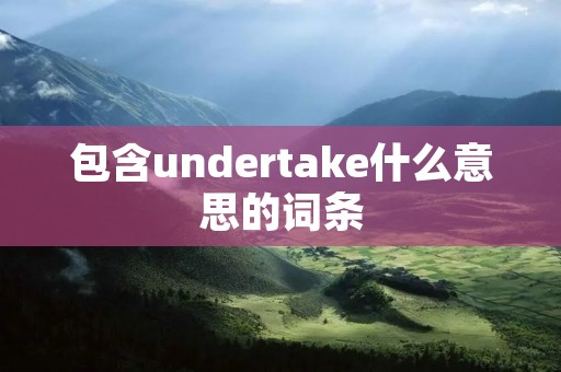 包含undertake什么意思的词条