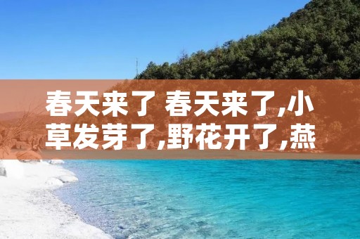 春天来了 春天来了,小草发芽了,野花开了,燕子飞来了扩句 春天来了 春天来了,小草发芽了,野花开了,燕子飞来了扩句