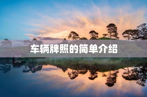 车辆牌照的简单介绍 车辆牌照的简单介绍
