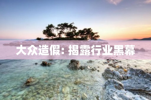 大众造假: 揭露行业黑幕 大众造假: 揭露行业黑幕