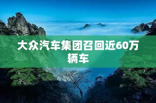 大众汽车集团召回近60万辆车