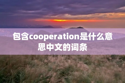 包含cooperation是什么意思中文的词条 包含cooperation是什么意思中文的词条