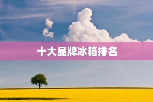 十大品牌冰箱排名:哪些品牌最值得购买?