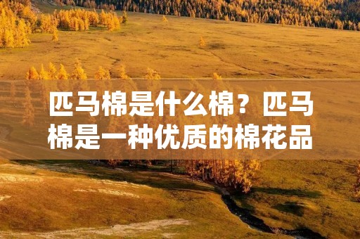 匹马棉是什么棉?匹马棉是一种优质的棉花品种,它是一种短绒棉,也叫做“短绒棉之王”。匹马棉在全球棉花市场上占据着重要地位,尤其是在国内外纺织品行业中广泛使用。匹马棉的质量特点非常明显,具有高质量、高产量、高纯度等优点,是目前市场上最受欢迎的棉花品种之一。