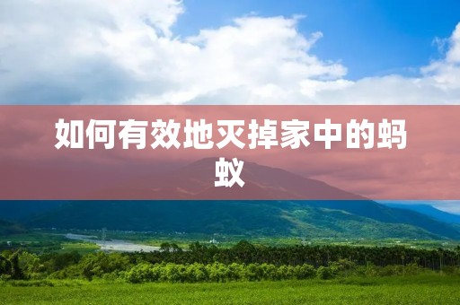 如何有效地灭掉家中的蚂蚁