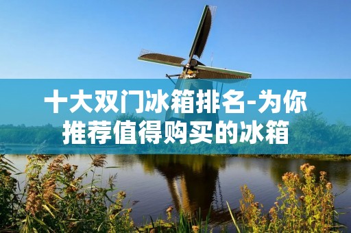 十大双门冰箱排名-为你推荐值得购买的冰箱 十大双门冰箱排名-为你推荐值得购买的冰箱