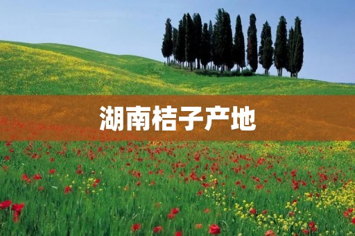 湖南桔子产地:品质优良,深受消费者喜爱