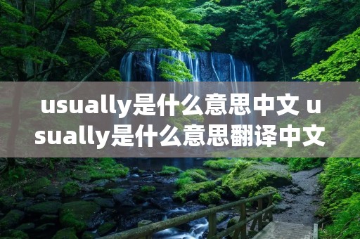 usually是什么意思中文 usually是什么意思翻译中文翻译 usually是什么意思中文 usually是什么意思翻译中文翻译