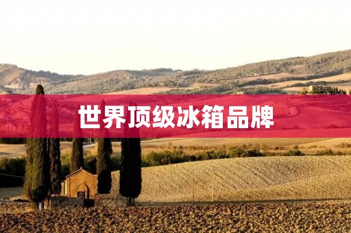 世界顶级冰箱品牌:为你带来无与伦比的冷藏体验 世界顶级冰箱品牌:为你带来无与伦比的冷藏体验