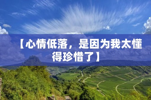 【心情低落,是因为我太懂得珍惜了】