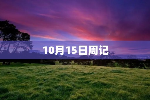 10月15日周记