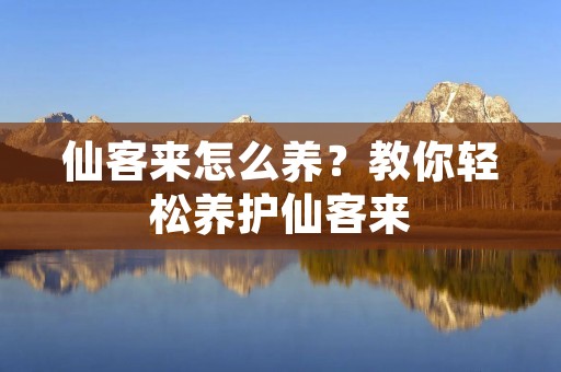 仙客来怎么养?教你轻松养护仙客来