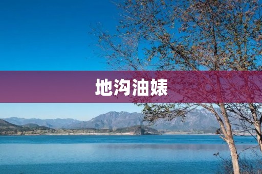 地沟油婊：一个毒瘤行业的真实揭露
