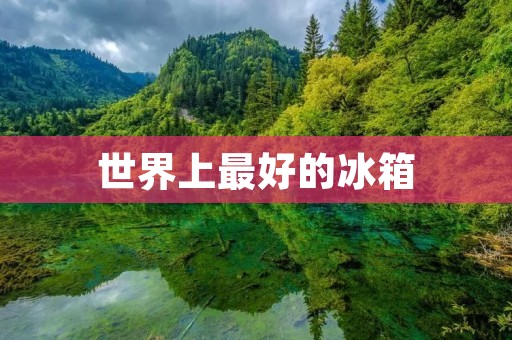 世界上最好的冰箱:为你带来无与伦比的冷藏体验 世界上最好的冰箱:为你带来无与伦比的冷藏体验