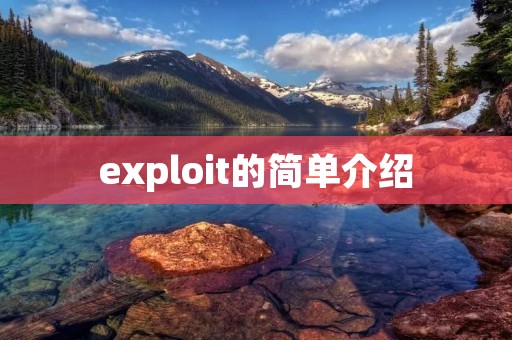 exploit的简单介绍