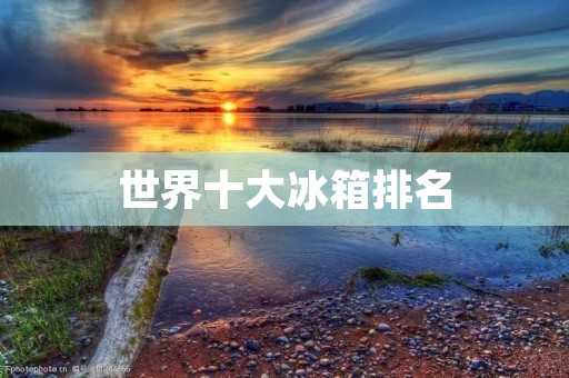 世界十大冰箱排名:品质与技术的完美结合 世界十大冰箱排名:品质与技术的完美结合