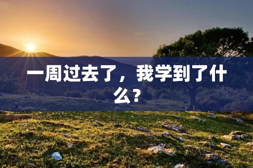 一周过去了，我学到了什么？