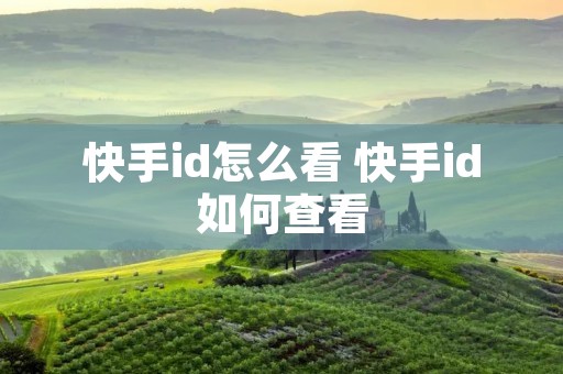 快手id怎么看 快手id如何查看